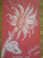 /album/prints-for-sale/sunflower-conte-jpg1/